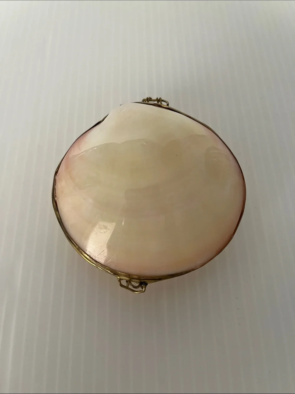 Vintage Polished Natural Clam Shell Trinket Box